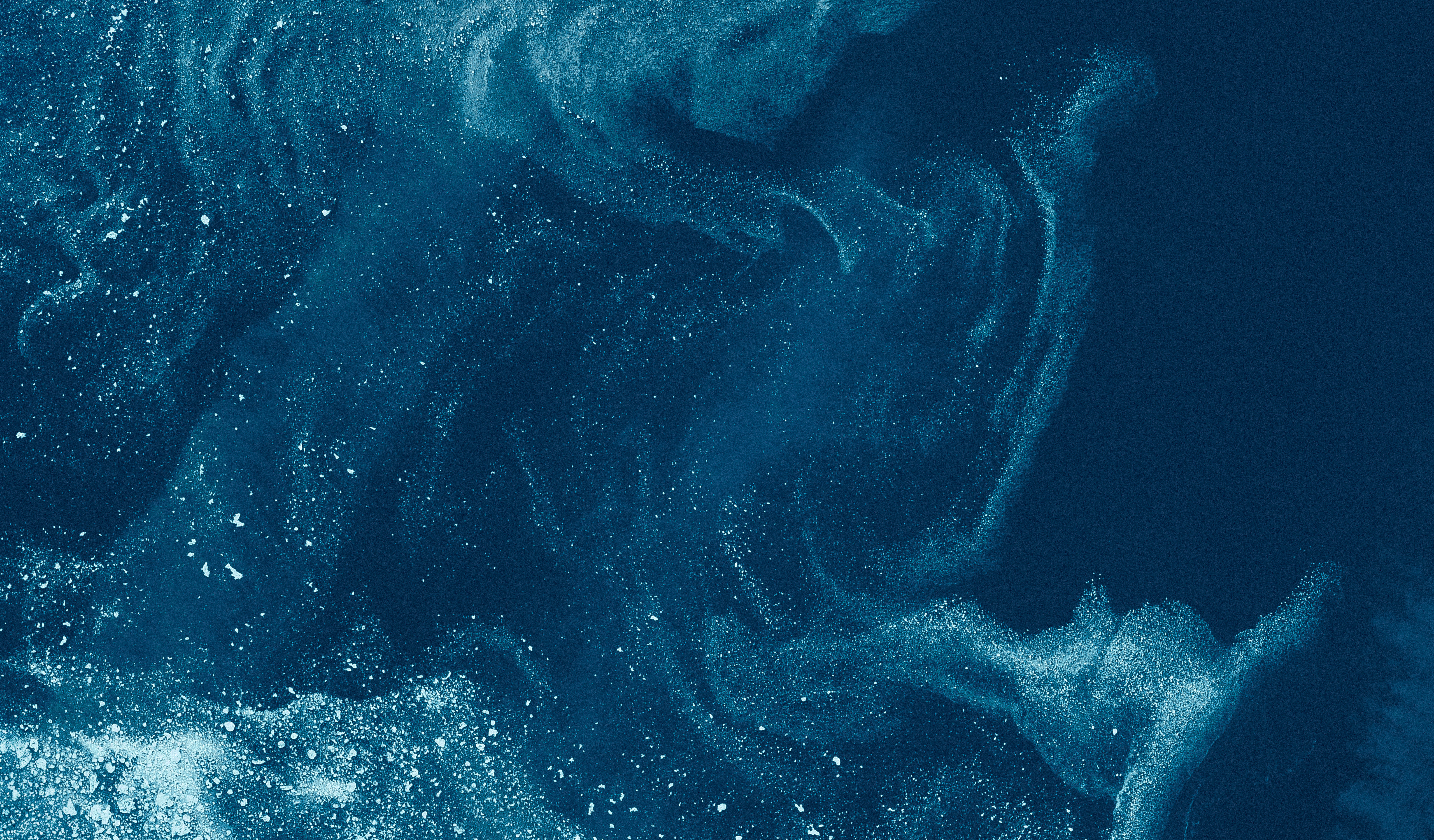 L'azienda che fa tutto gratis (e lo fa meglio di tutti)